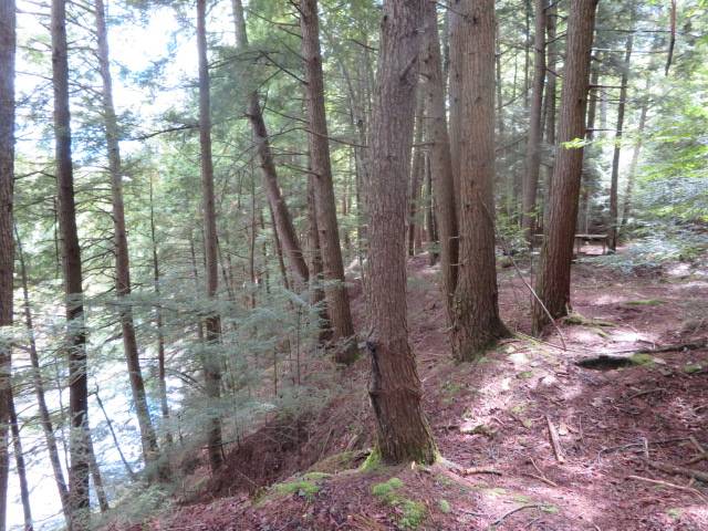 #5 photo, 0 Emmonsburg Rd, #3, Salisbury , NY 13365