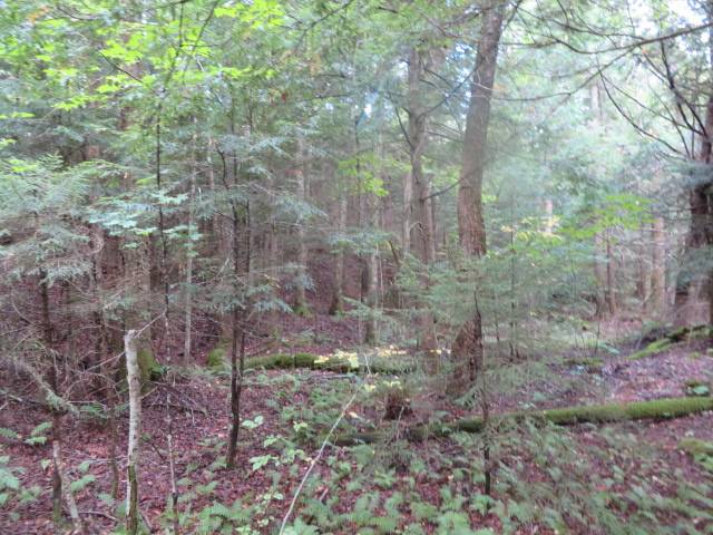 #6 photo, 0 Emmonsburg Rd, #3, Salisbury , NY 13365