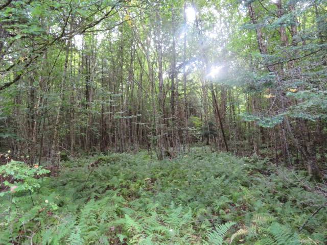 #8 photo, 0 Emmonsburg Rd, #3, Salisbury , NY 13365