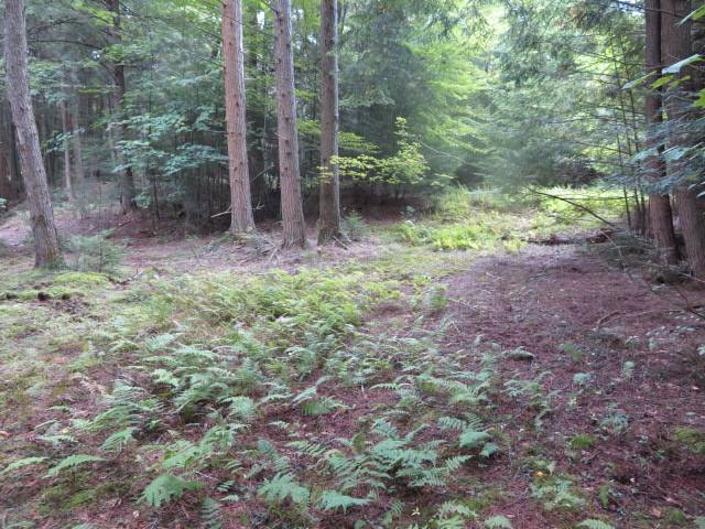 #9 photo, 0 Emmonsburg Rd, #3, Salisbury , NY 13365