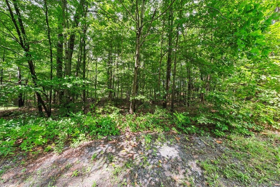 #7 photo, Beckrick Drive, Rhinebeck , NY 12572