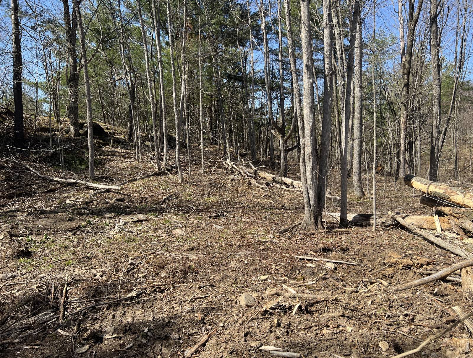 #2 photo, A Portion of 43 Woodland DR/Prvt, #4, Hammond , NY 13662