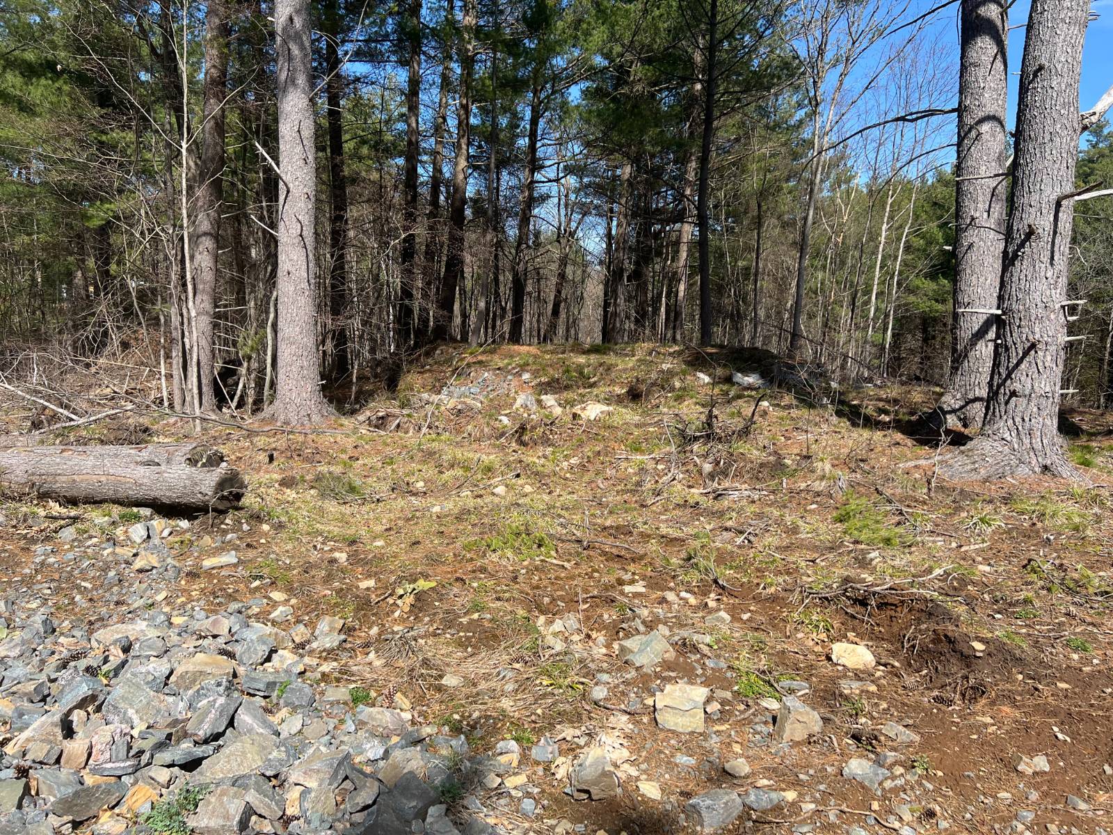 #2 photo, A portion of 43 Woodland DR/Prvt, #5, Hammond , NY 13662