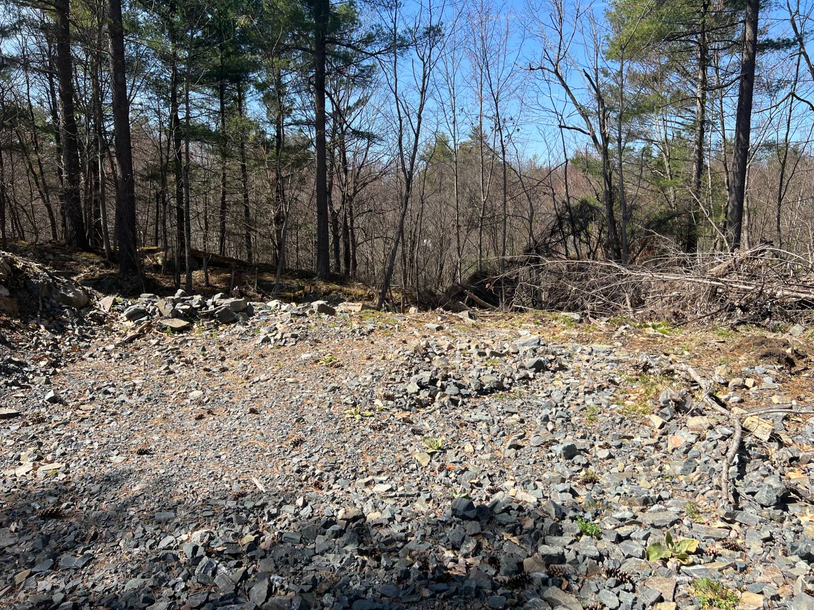 #3 photo, A portion of 43 Woodland DR/Prvt, #5, Hammond , NY 13662