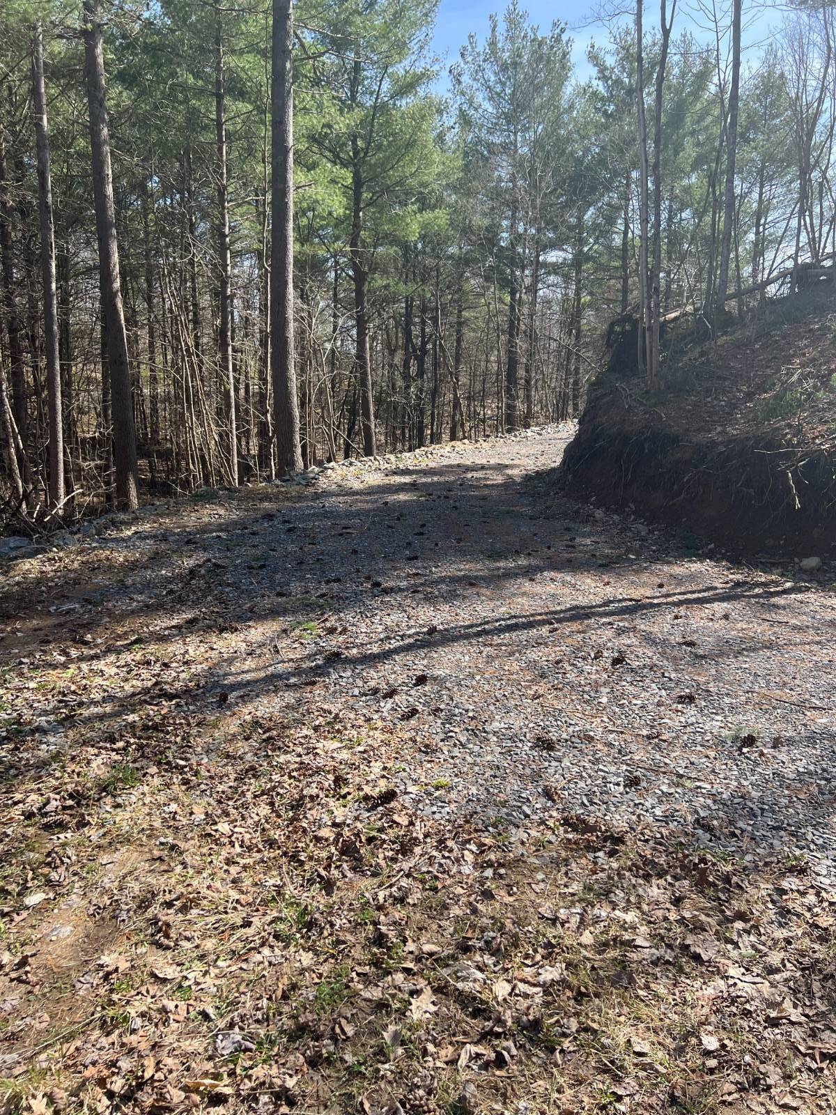 #4 photo, A portion of 43 Woodland DR/Prvt, #5, Hammond , NY 13662