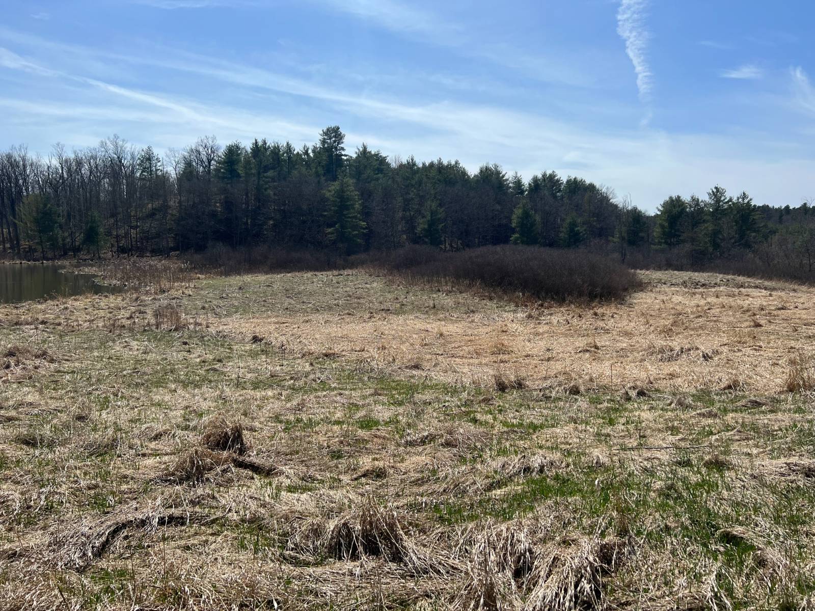 #10 photo, A Portion of 43 Woodland DR/Prvt, #1, Hammond , NY 13662