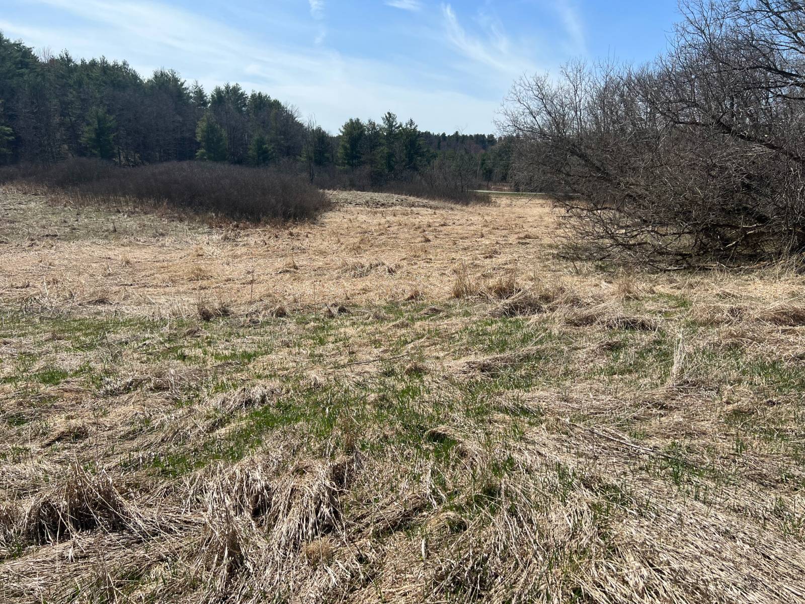 #11 photo, A Portion of 43 Woodland DR/Prvt, #1, Hammond , NY 13662