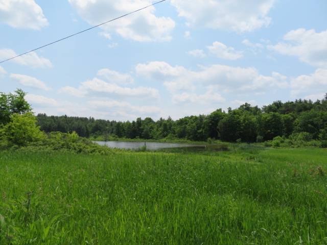 #3 photo, A Portion of 43 Woodland DR/Prvt, #1, Hammond , NY 13662