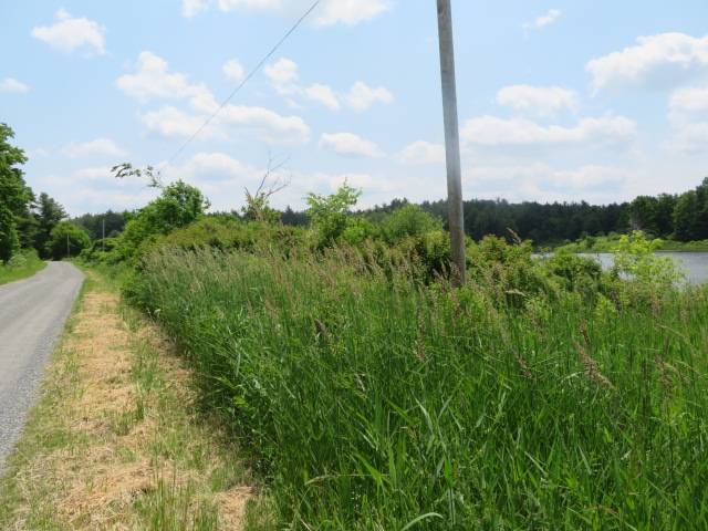 #5 photo, A Portion of 43 Woodland DR/Prvt, #1, Hammond , NY 13662