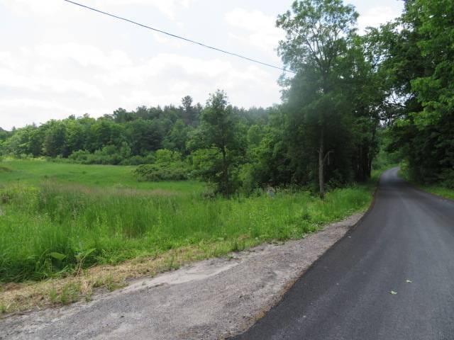 #6 photo, A Portion of 43 Woodland DR/Prvt, #1, Hammond , NY 13662