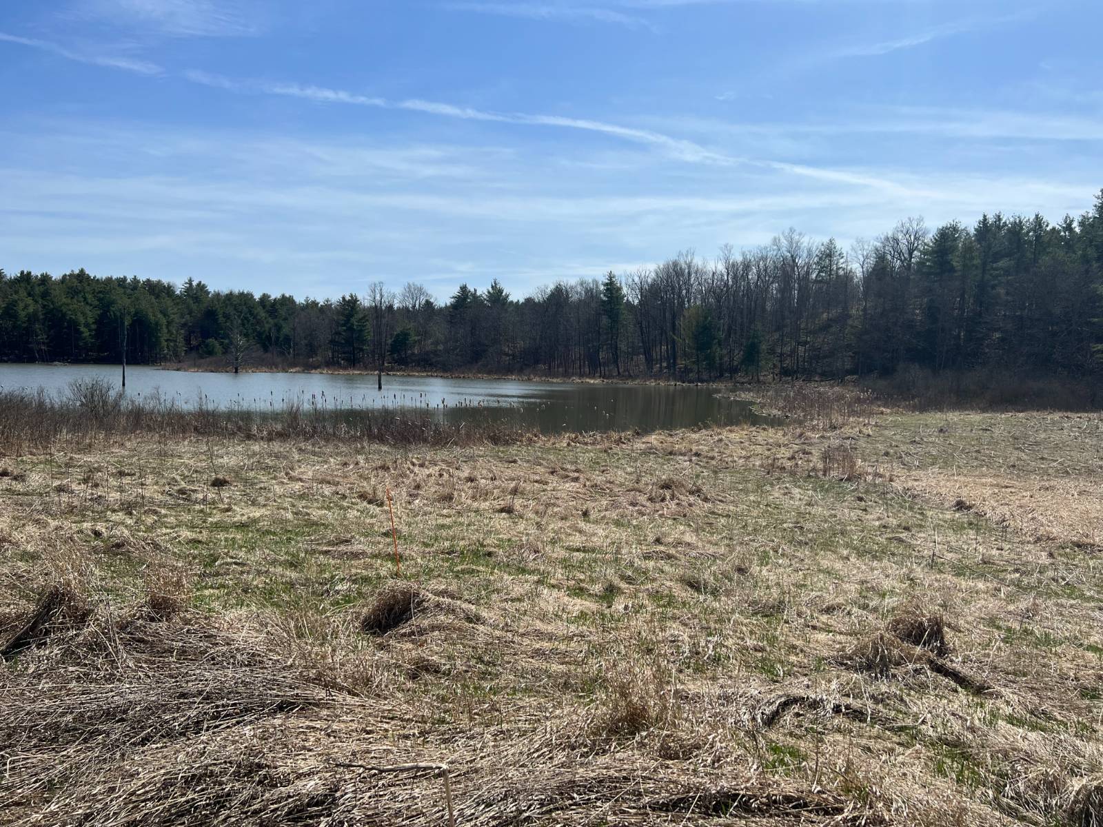 #9 photo, A Portion of 43 Woodland DR/Prvt, #1, Hammond , NY 13662