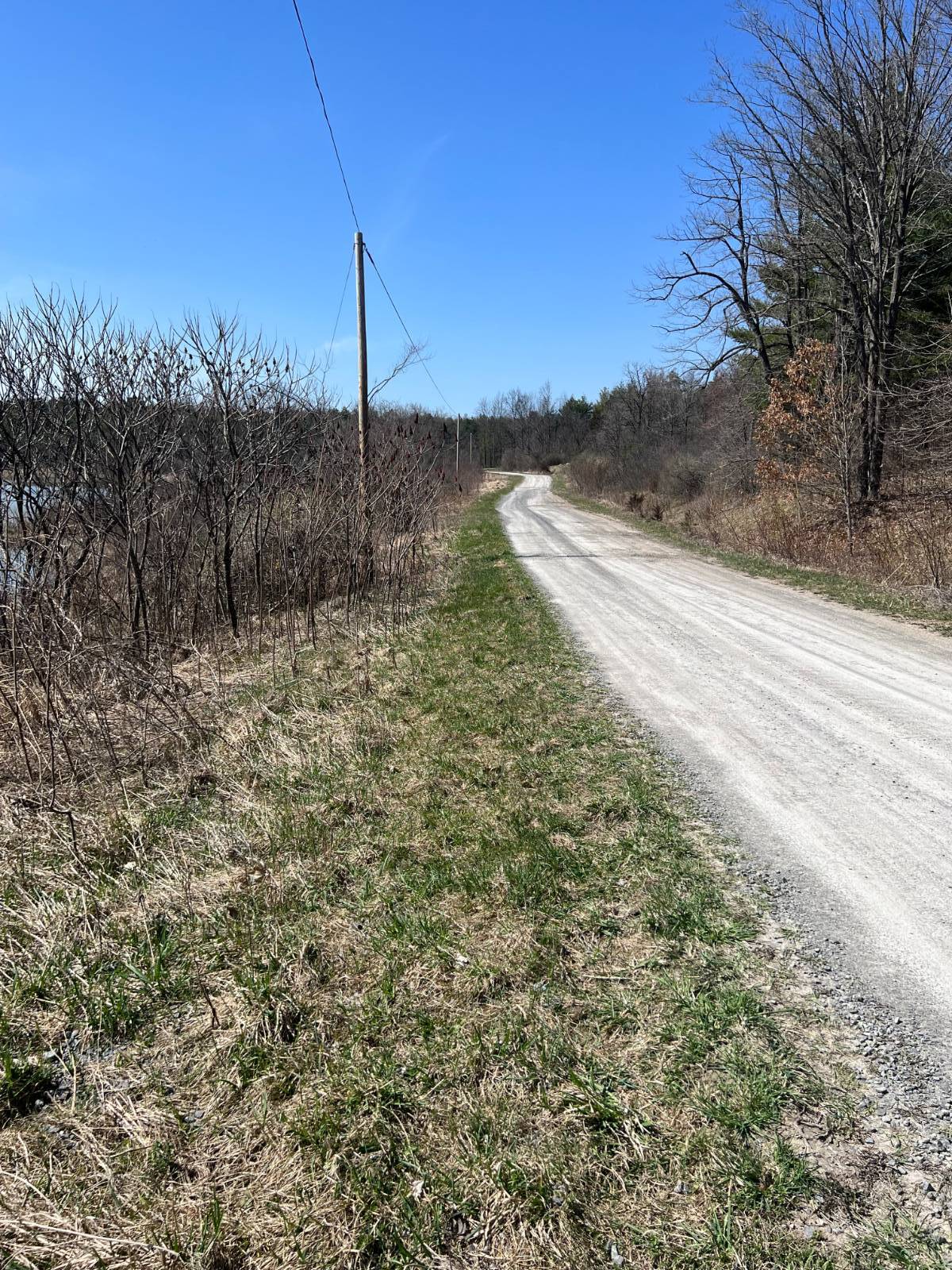 #11 photo, A portion of 43 Woodland DR/Prvt, #2, Hammond , NY 13662