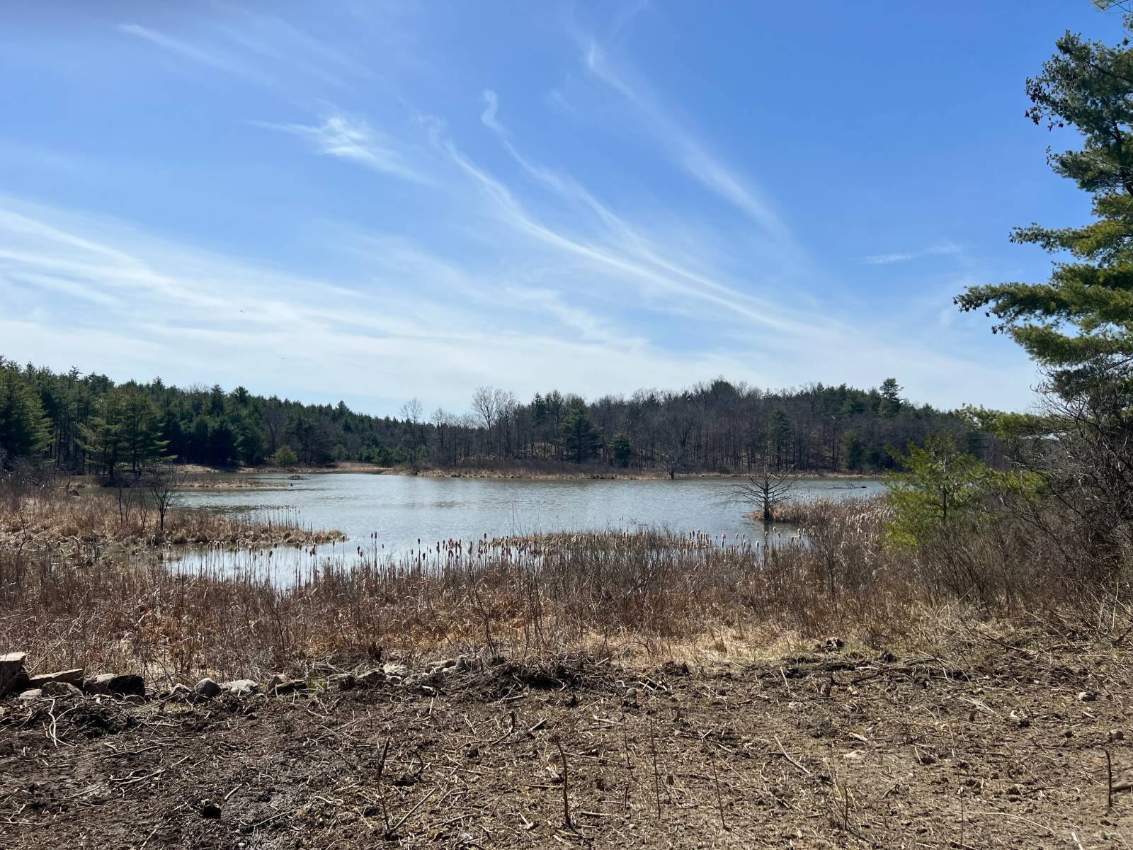 #14 photo, A portion of 43 Woodland DR/Prvt, #2, Hammond , NY 13662