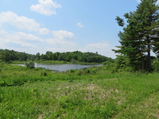 #2 photo, A portion of 43 Woodland DR/Prvt, #2, Hammond , NY 13662