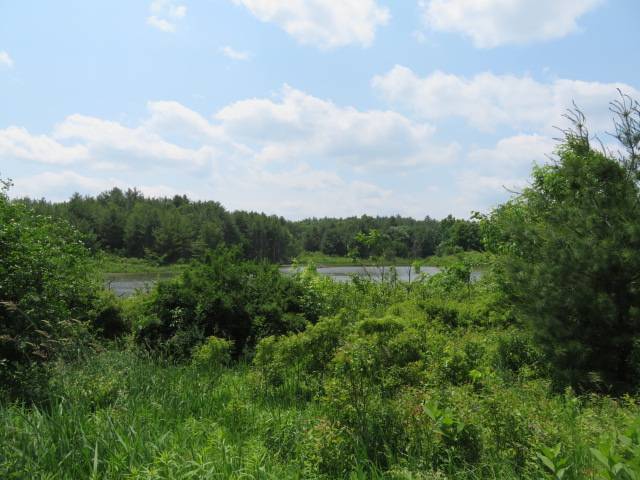 #3 photo, A portion of 43 Woodland DR/Prvt, #2, Hammond , NY 13662