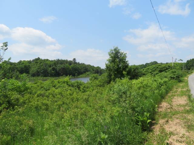 #4 photo, A portion of 43 Woodland DR/Prvt, #2, Hammond , NY 13662