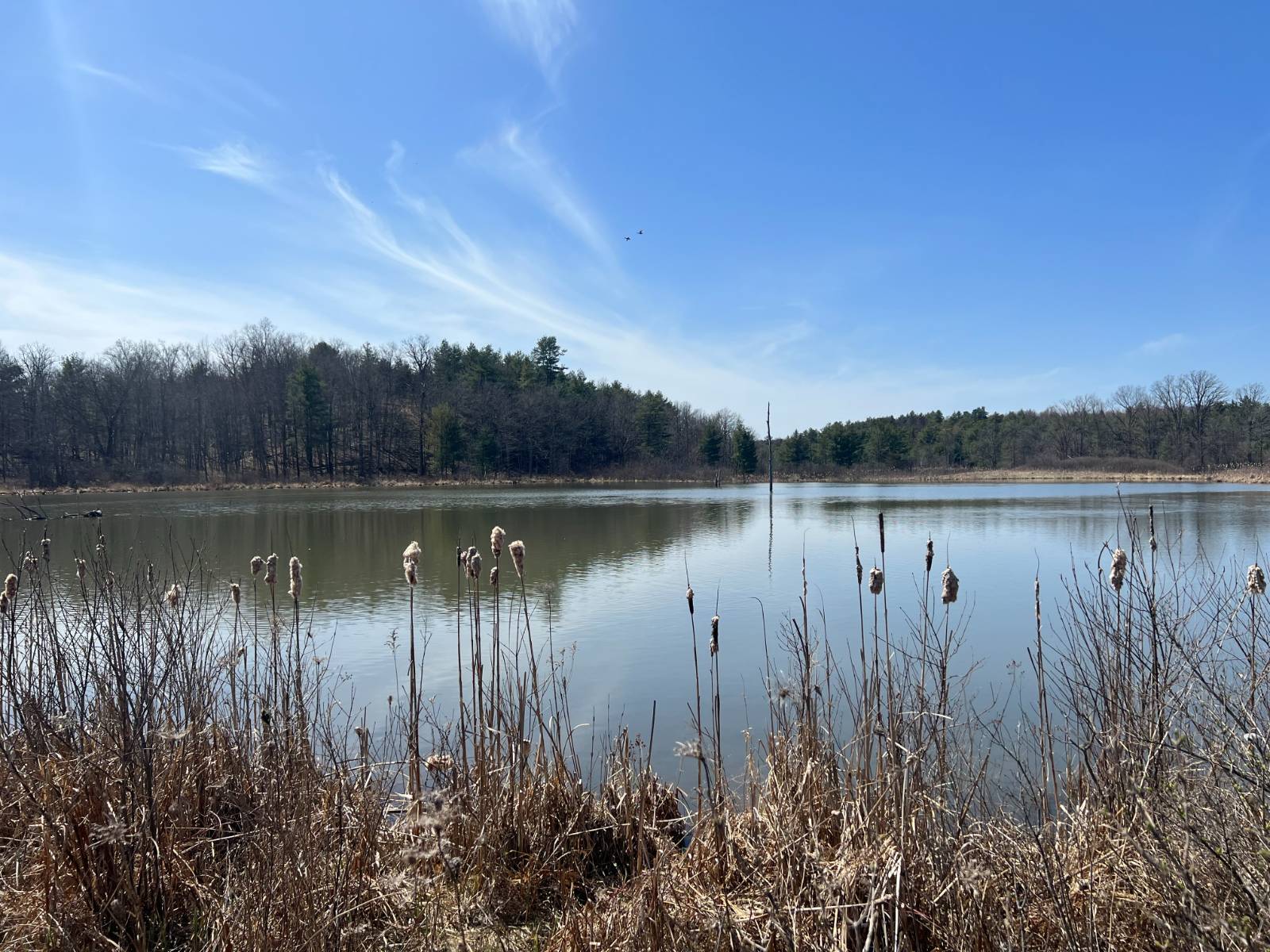 #6 photo, A portion of 43 Woodland DR/Prvt, #2, Hammond , NY 13662