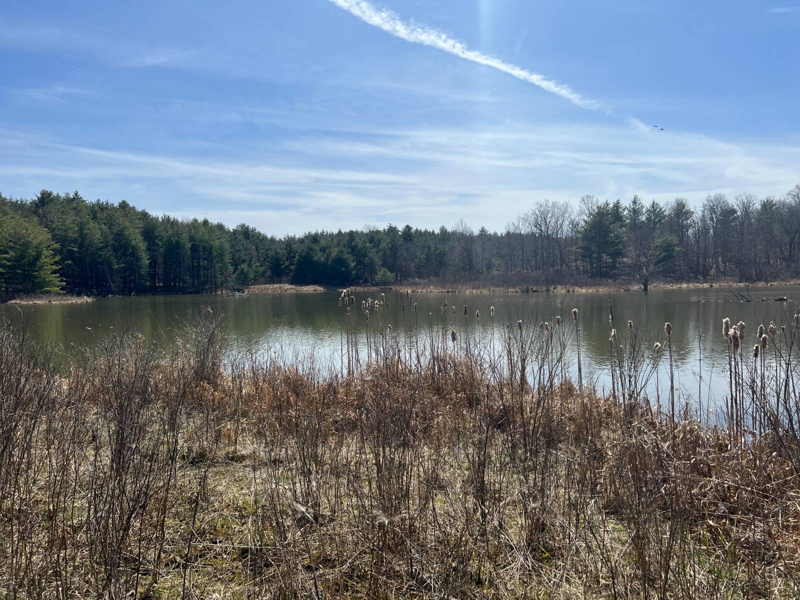 #7 photo, A portion of 43 Woodland DR/Prvt, #2, Hammond , NY 13662