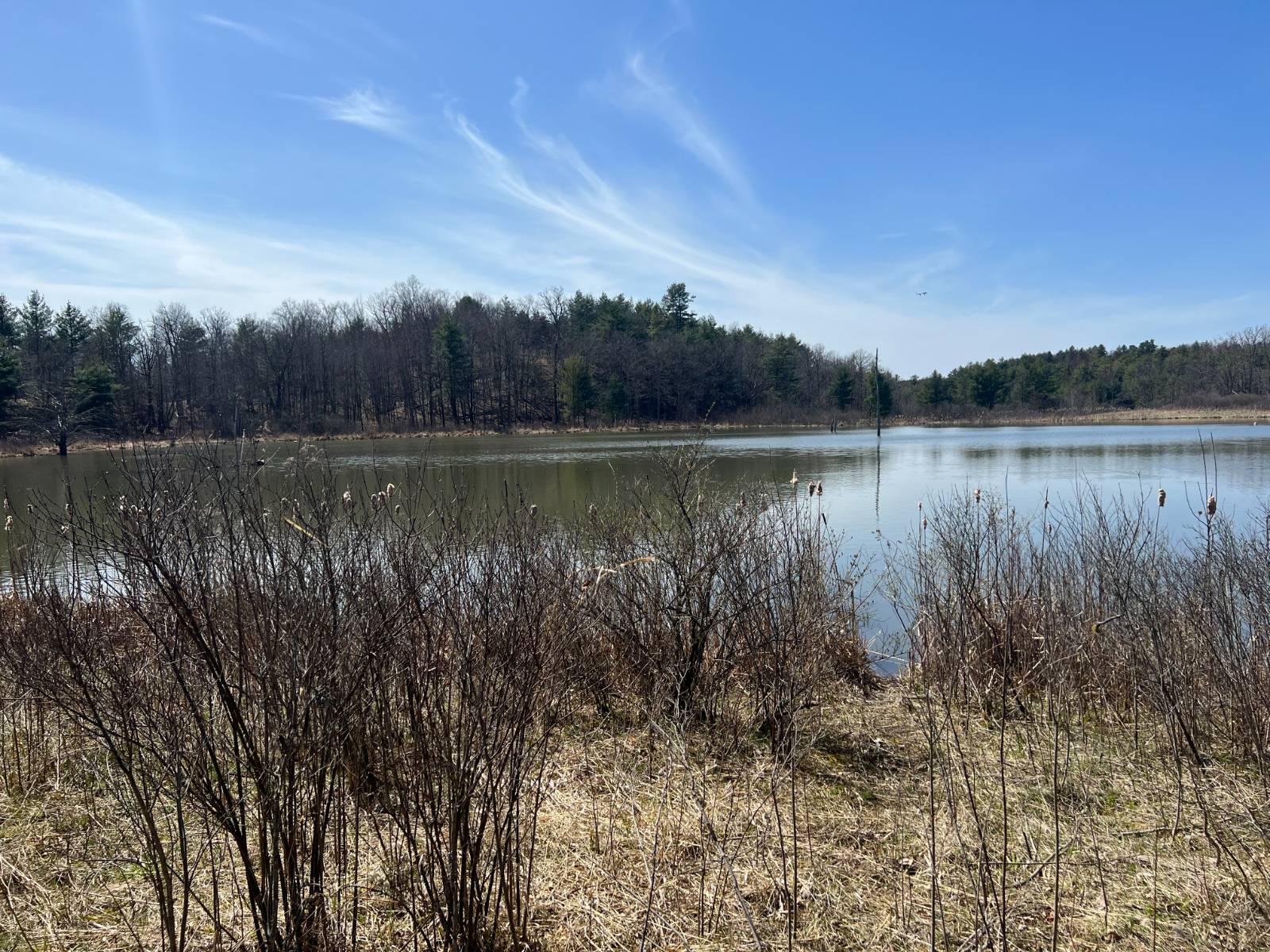 #9 photo, A portion of 43 Woodland DR/Prvt, #2, Hammond , NY 13662