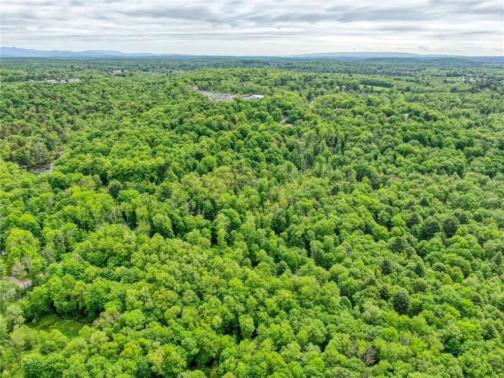 #15 photo, 401 Harris Road, Monticello , NY 12701