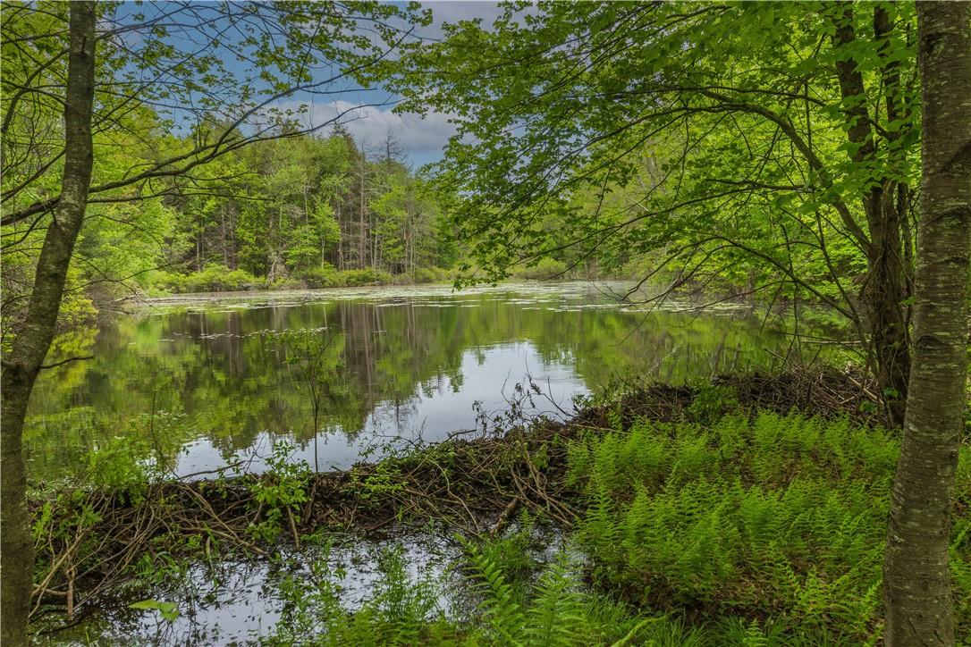 #4 photo, 401 Harris Road, Monticello , NY 12701