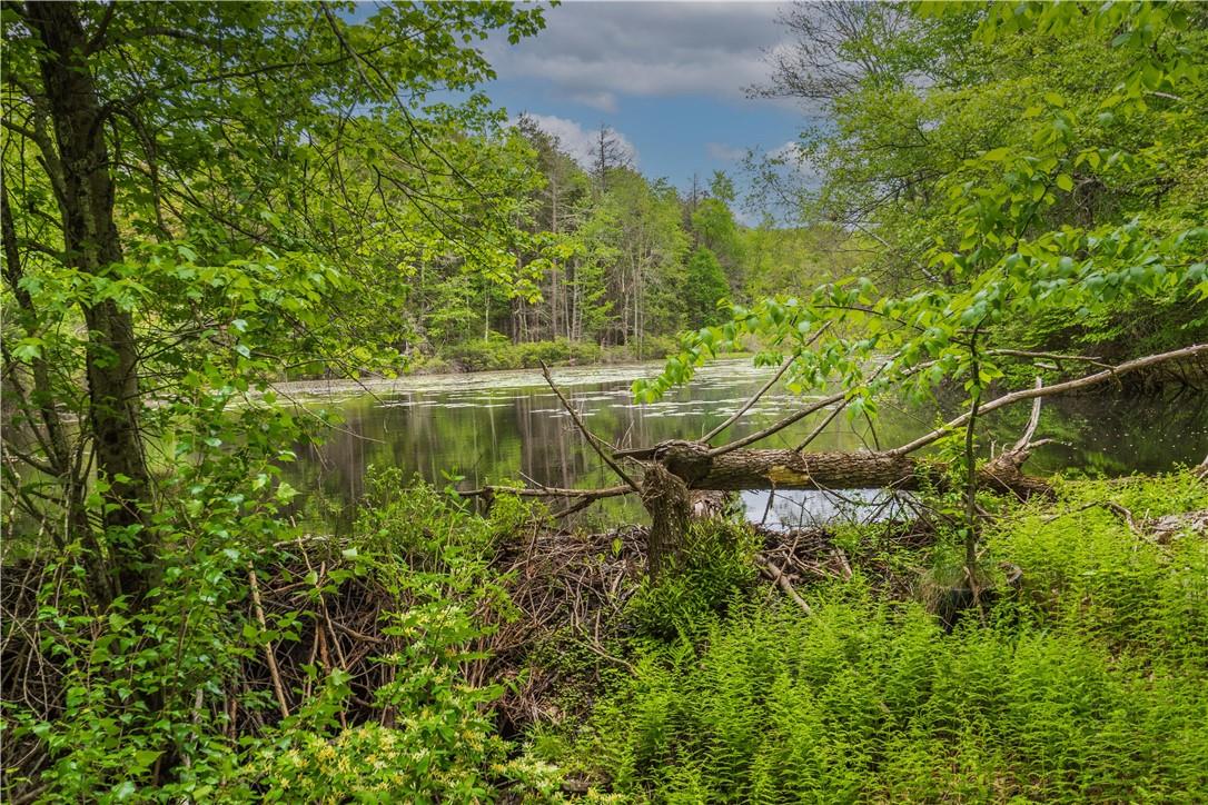 #6 photo, 401 Harris Road, Monticello , NY 12701