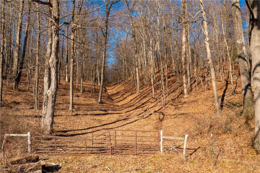 #12 photo, 1297 Route 343, Dover Plains , NY 12522