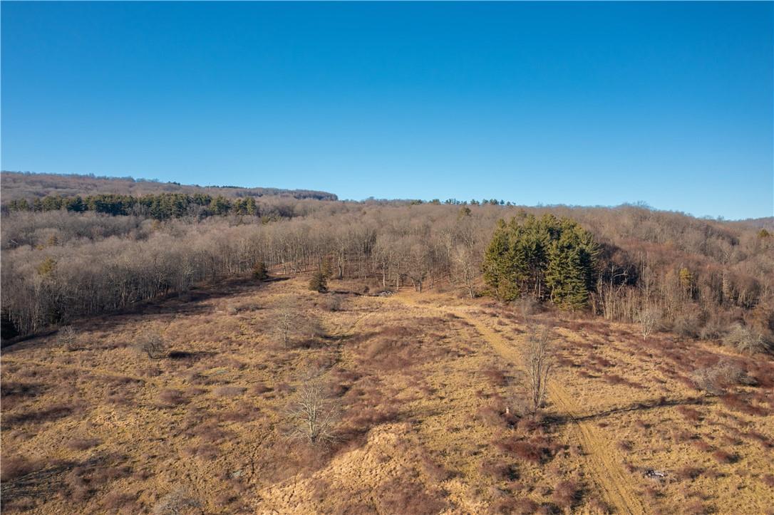 #13 photo, 1297 Route 343, Dover Plains , NY 12522