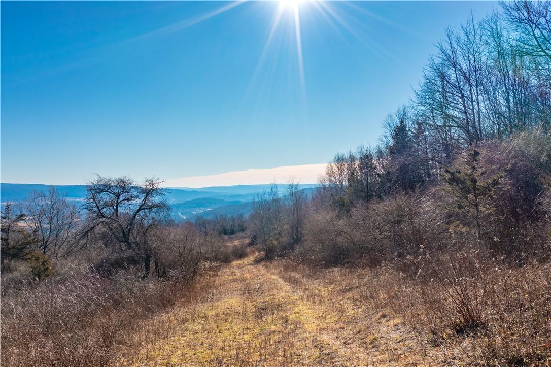 #8 photo, 1297 Route 343, Dover Plains , NY 12522