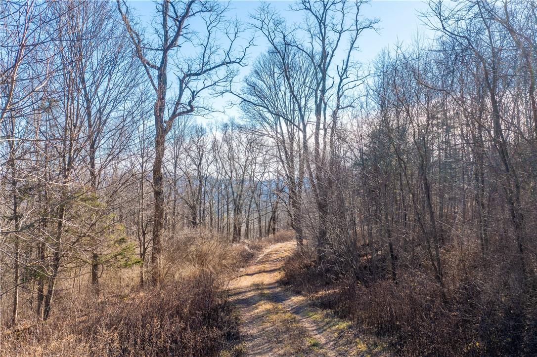 #9 photo, 1297 Route 343, Dover Plains , NY 12522