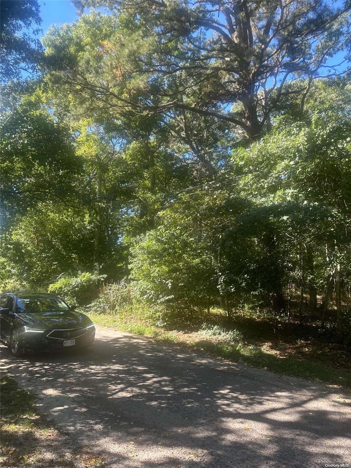 #3 photo, 8 Shell Road, サフォーク郡 Hampton Bays , NY 11946