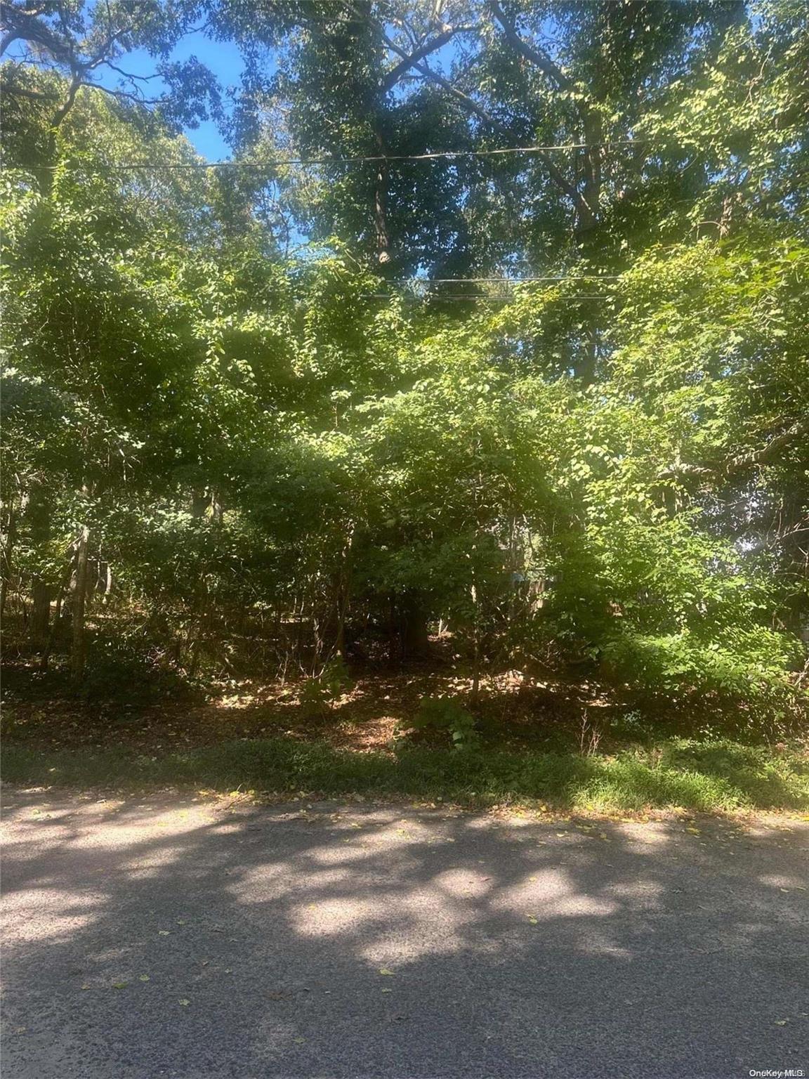 #5 photo, 8 Shell Road, サフォーク郡 Hampton Bays , NY 11946