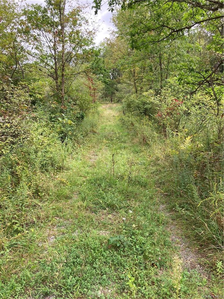 #10 photo, Logtown Road, Port Jervis , NY 12771