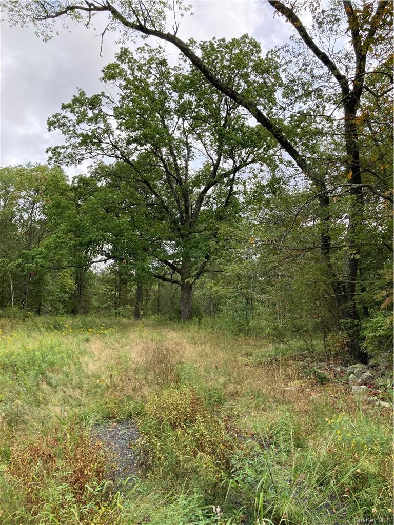 #11 photo, Logtown Road, Port Jervis , NY 12771