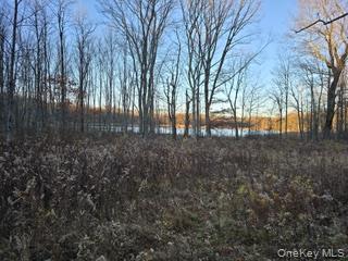 #13 photo, Logtown Road, Port Jervis , NY 12771