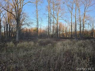 #14 photo, Logtown Road, Port Jervis , NY 12771