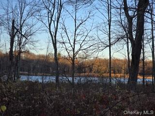 #15 photo, Logtown Road, Port Jervis , NY 12771