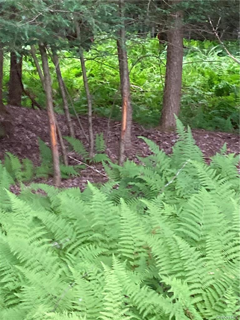 #2 photo, Logtown Road, Port Jervis , NY 12771