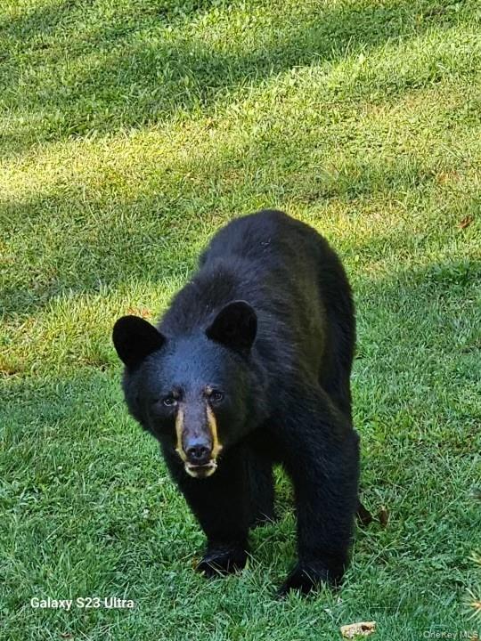 #3 photo, Logtown Road, Port Jervis , NY 12771