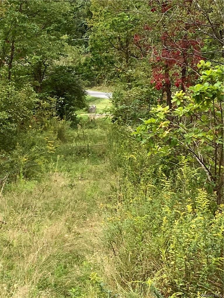 #4 photo, Logtown Road, Port Jervis , NY 12771