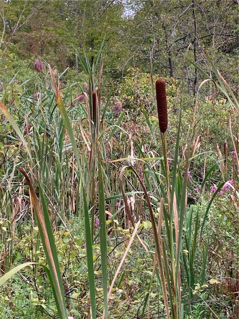 #5 photo, Logtown Road, Port Jervis , NY 12771