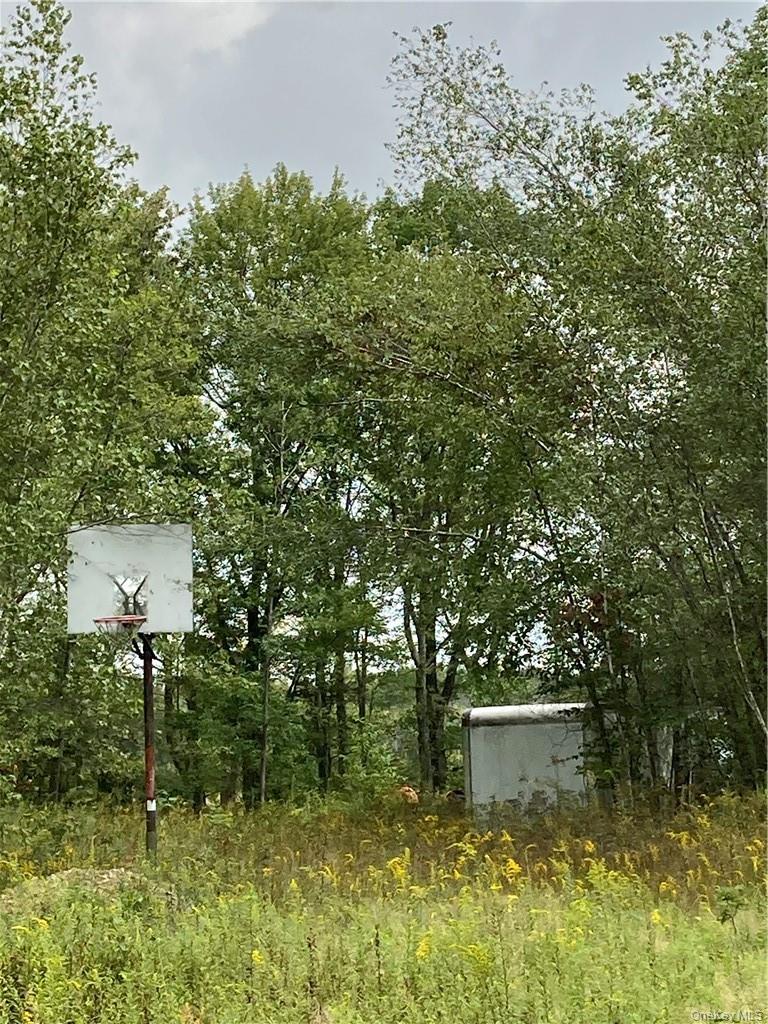 #7 photo, Logtown Road, Port Jervis , NY 12771