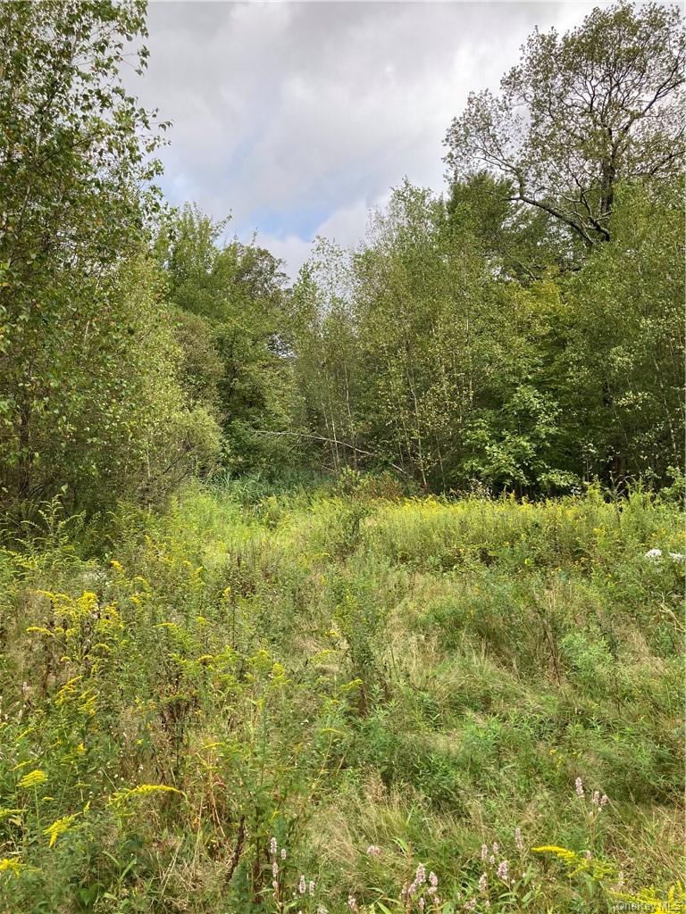 #8 photo, Logtown Road, Port Jervis , NY 12771