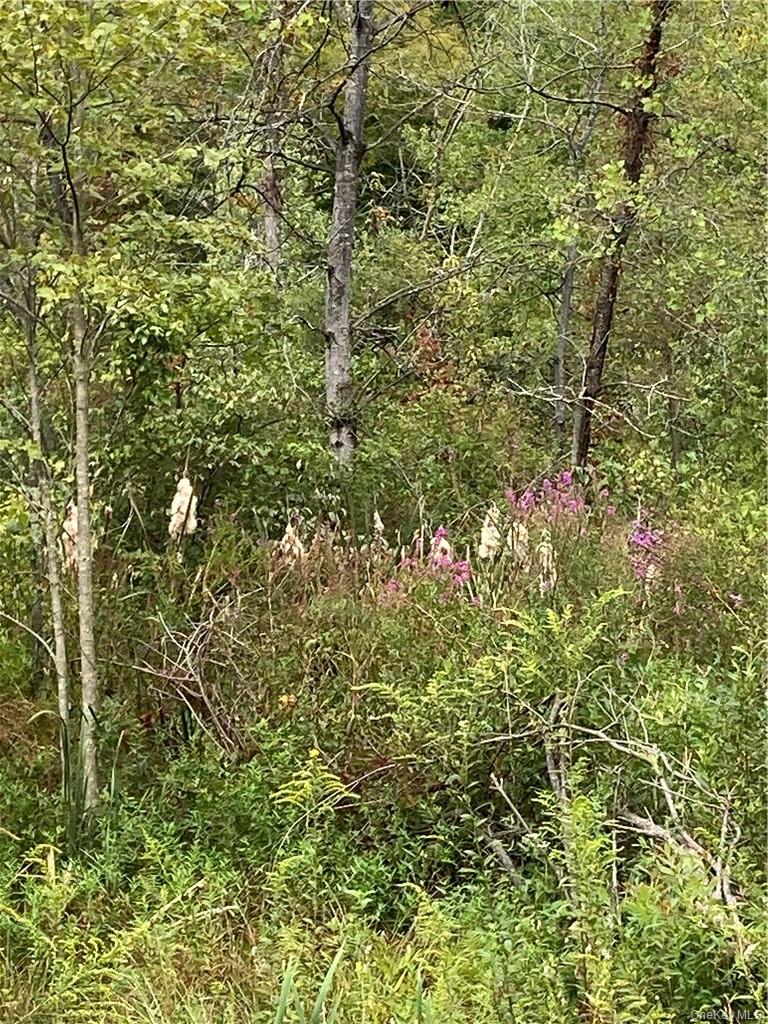 #9 photo, Logtown Road, Port Jervis , NY 12771