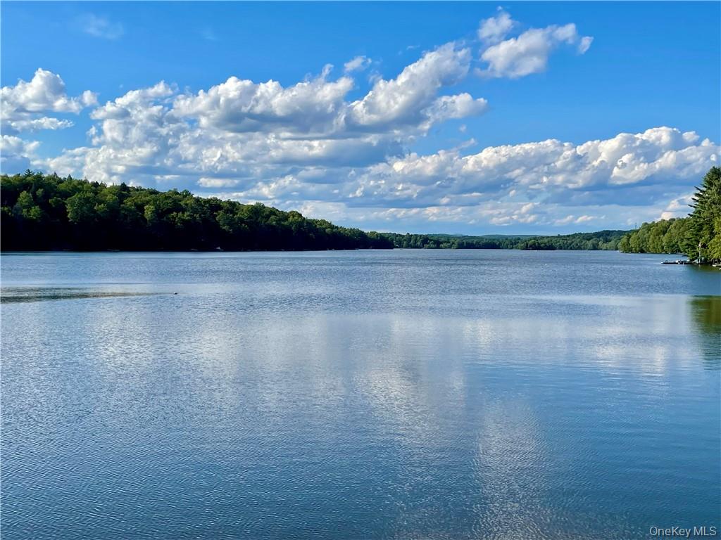 #2 photo, 150 Wildwood Drive, Fallsburg , NY 12733