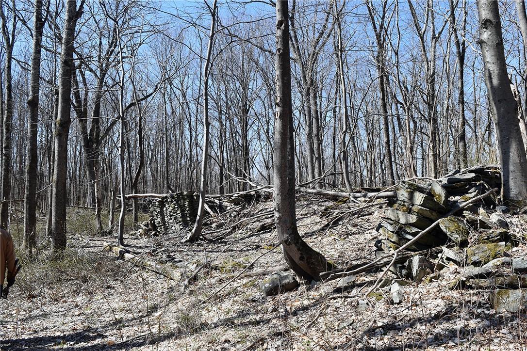 #10 photo, 79-85 Miller Road, Rhinebeck , NY 12572