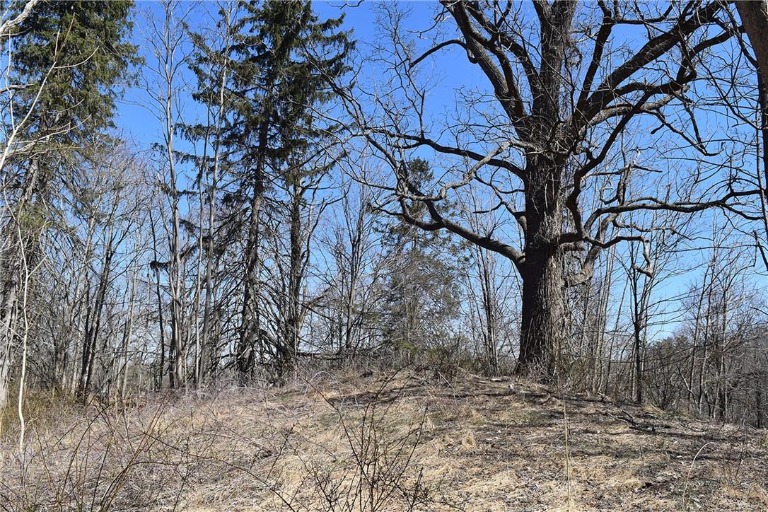 #11 photo, 79-85 Miller Road, Rhinebeck , NY 12572