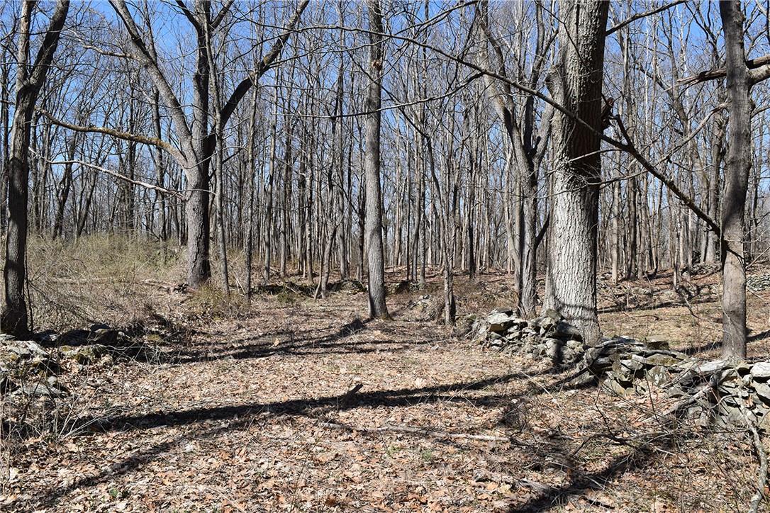 #13 photo, 79-85 Miller Road, Rhinebeck , NY 12572