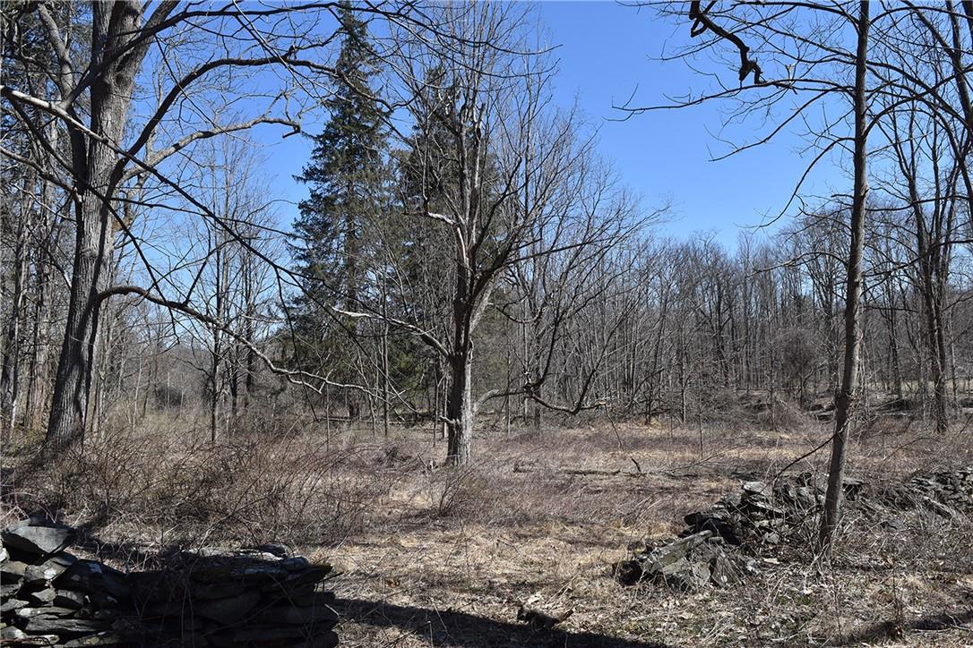 #14 photo, 79-85 Miller Road, Rhinebeck , NY 12572