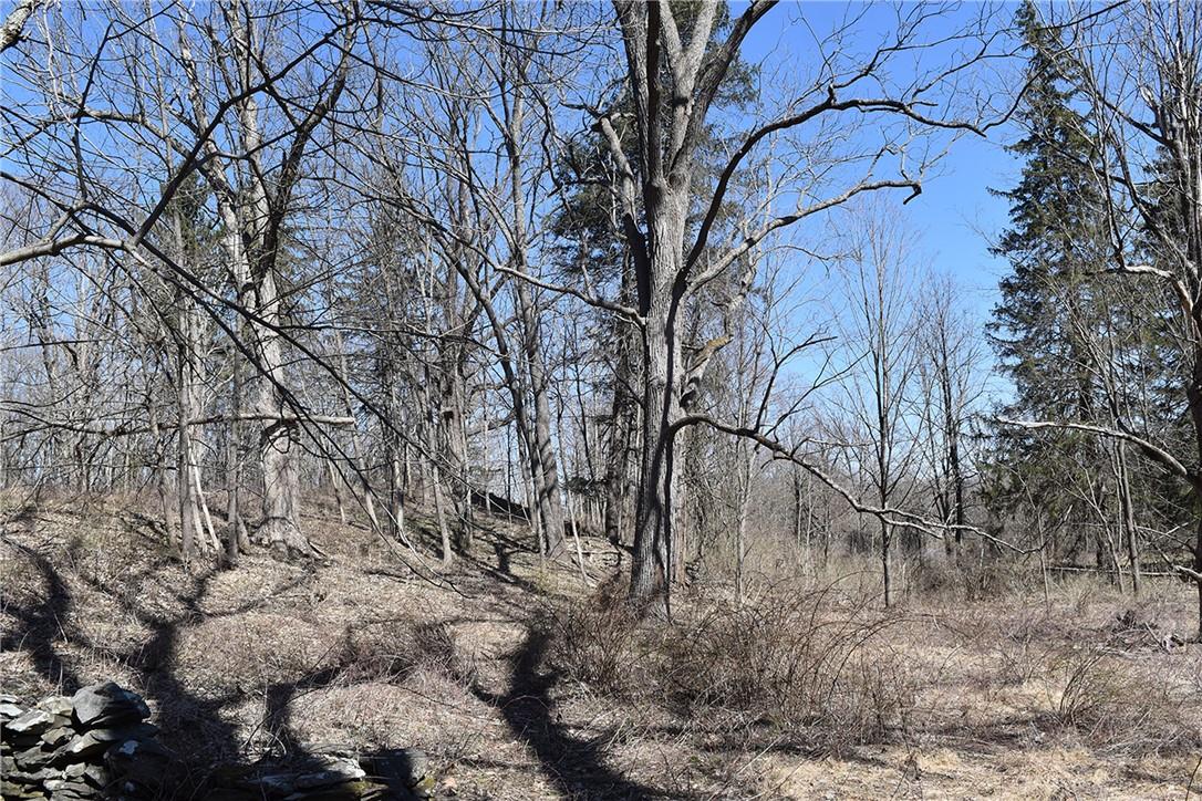 #15 photo, 79-85 Miller Road, Rhinebeck , NY 12572